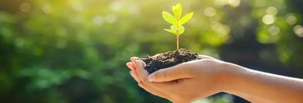 给孩子一个笑脸